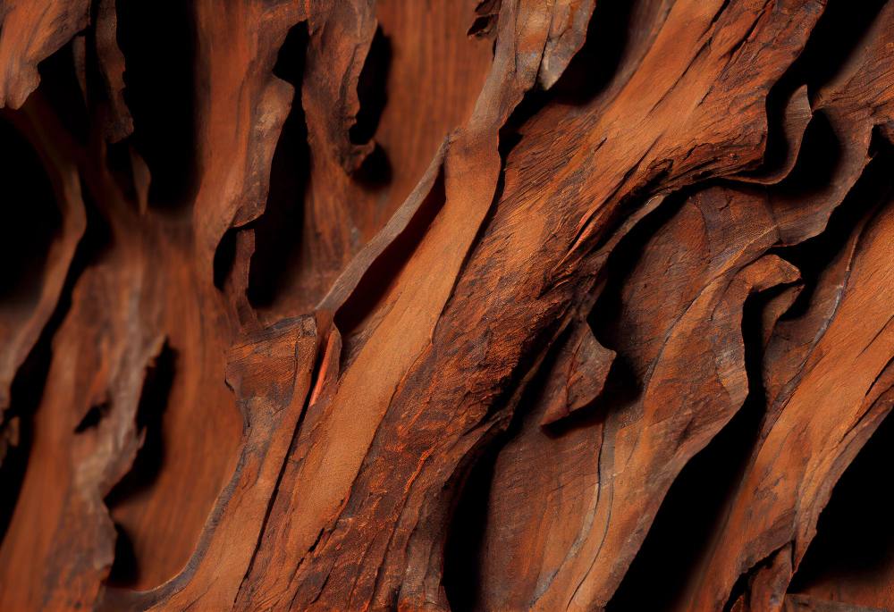 textura-arbol-madera-natural